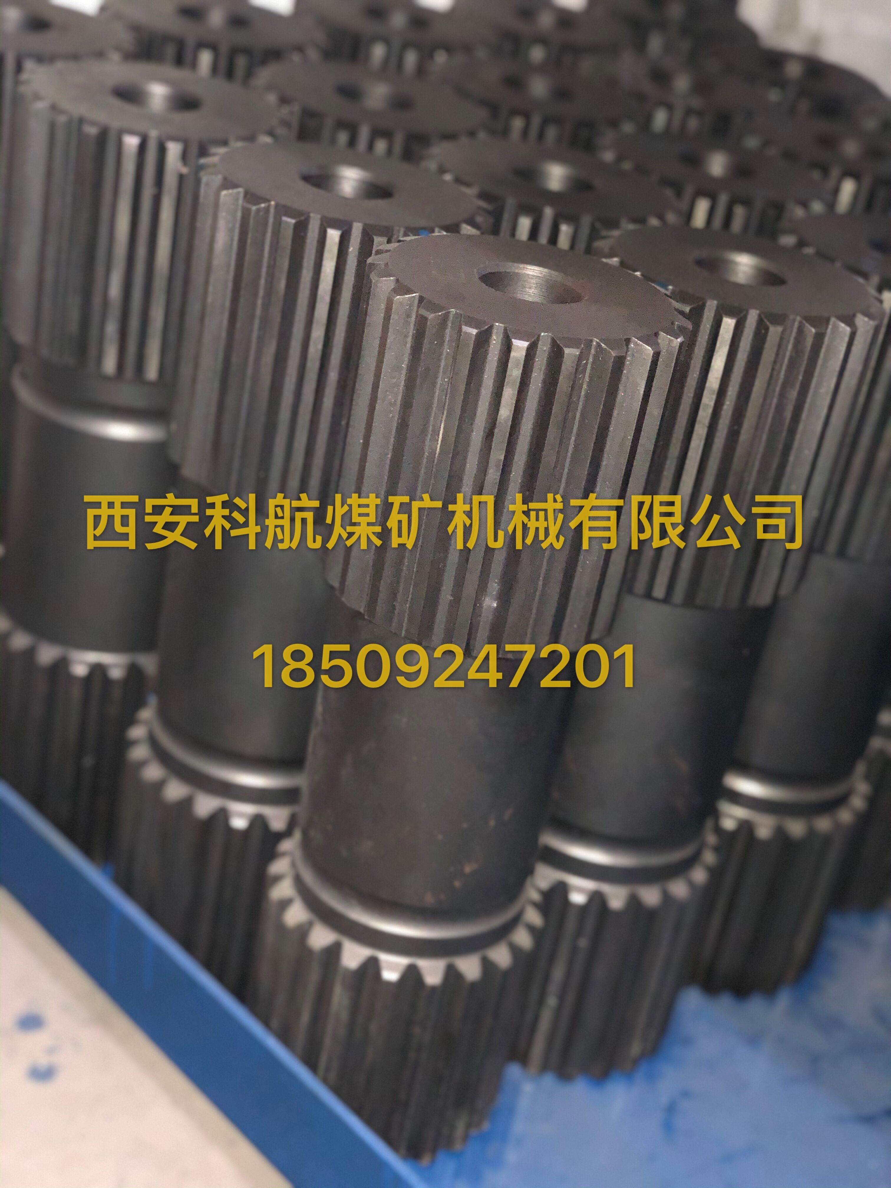 點(diǎn)擊查看詳細(xì)